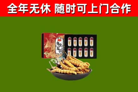 酒泉烟酒回收冬虫夏草礼盒.jpg